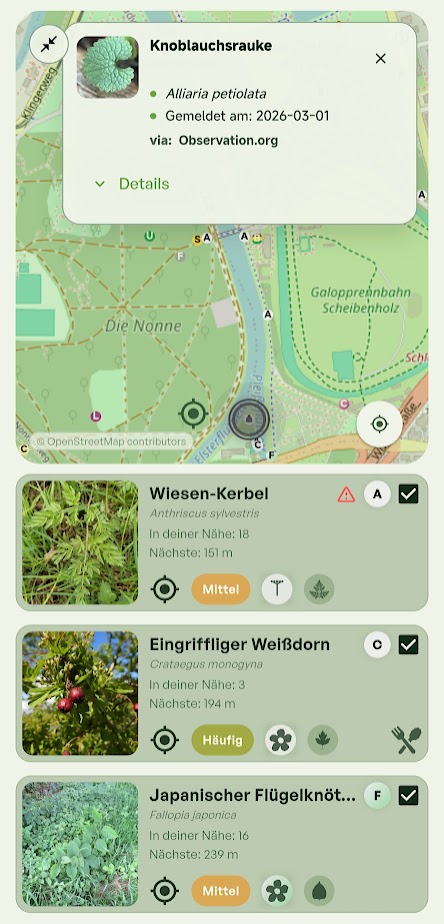 Wild Forager app screenshot